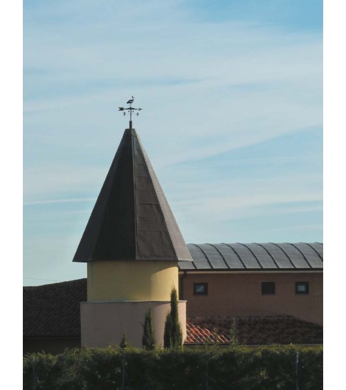 Veleta de Hierro Cigüeña para Tejado - Veleta de Viento con Cazoletas Decorativa Fabricada en España