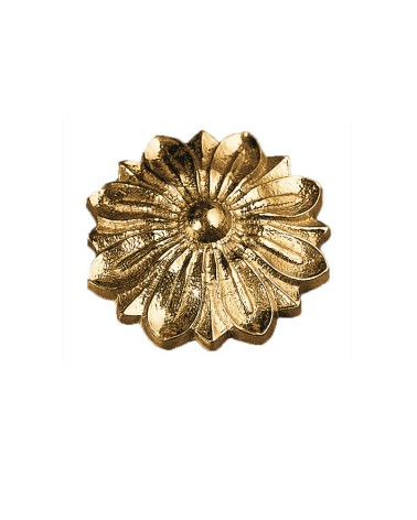 Rosetón en latón brillo decorativo para puertas de entrada