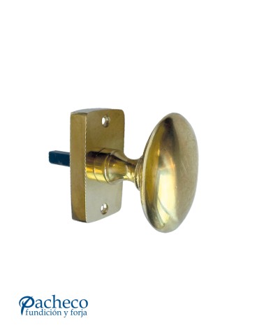 Pomo de latón brillo con placa para puerta interior